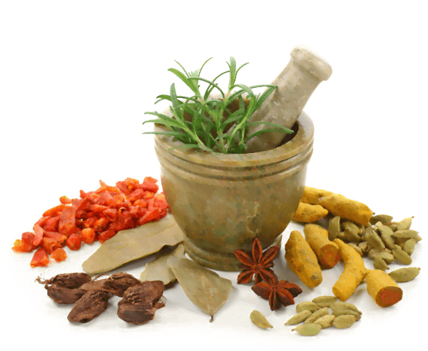 Ayurvedic treatment for PCOS – Athah